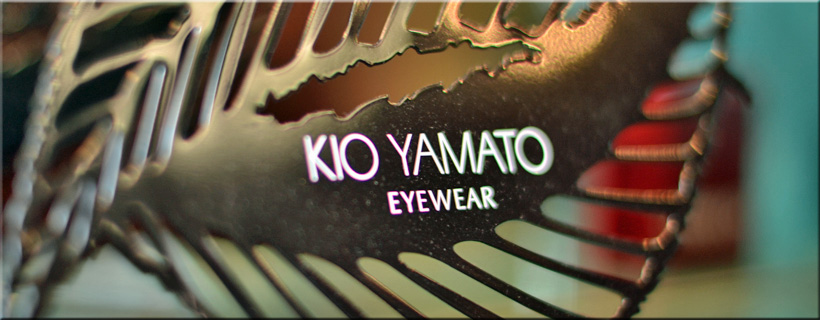 Eyeglass Frames and Lenses