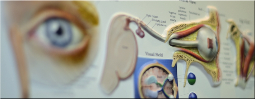 Comprehensive eye exams and medical eye care at Optima Optometry